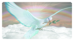 DSC700 116 D BZ Dove Clouds Bronze